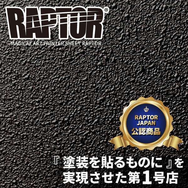 ラリー北海道で検証済！ 【貼るラプターシリーズ】ウィンドモール ラプター 貼るラプター 選べる6サイズ ウィンドトリム 白化防止 保護 カスタム ハセプロ MPRWM | ハセプロ | 13