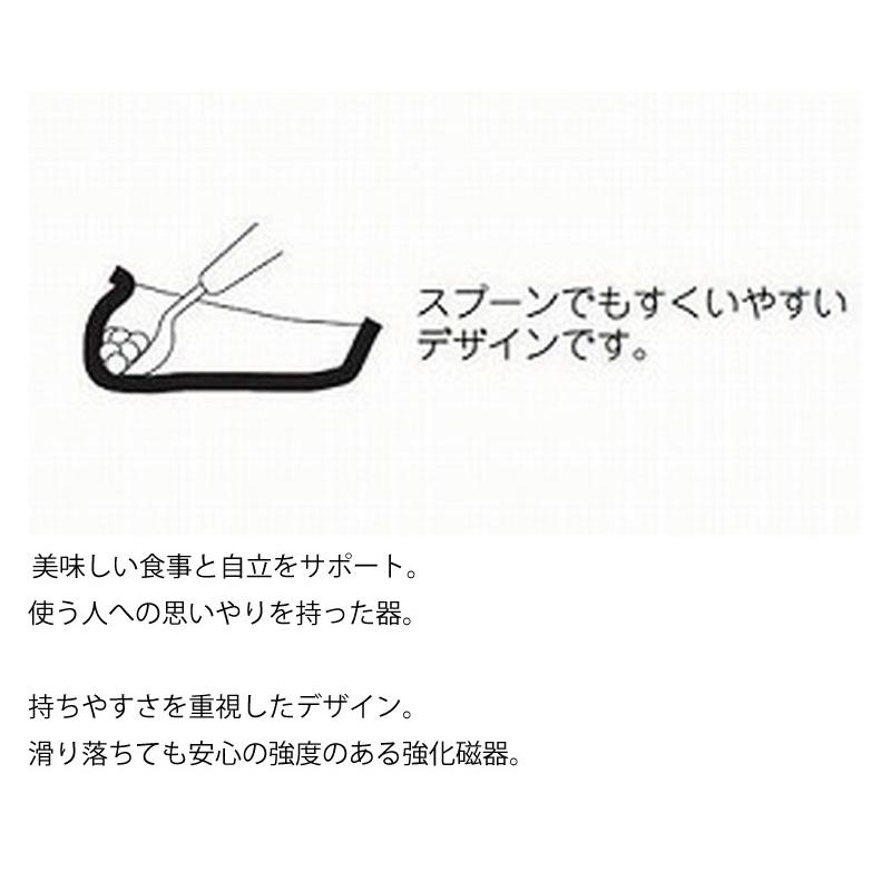 介護 食器 強化磁器 大皿 テレサシリーズ ラベンダー 日本製 東海興商 電子レンジ可 食洗機可 乾燥機可 介護用品 食事介助 C ハナサンテラス 通販 Yahoo ショッピング