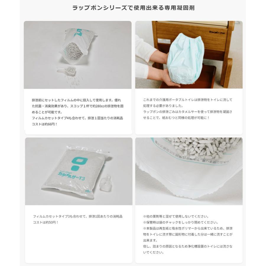 カタメルサーT3 ラップポン 介護用 C0C0T3P1J 6L 60回分 日本セイフ