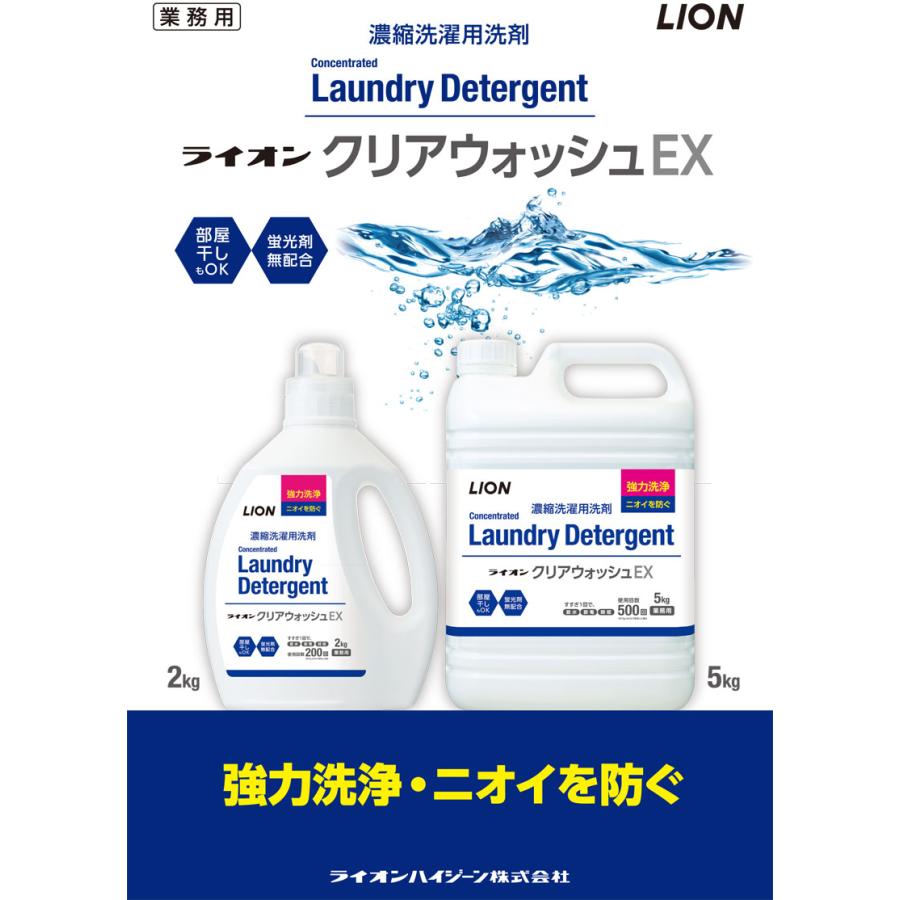ライオンさん専用　未使用 ホームウォッシュ ながら洗車　2箱セット ライオンさん専用 未使用 ホームウォッシュ ながら洗車 2箱