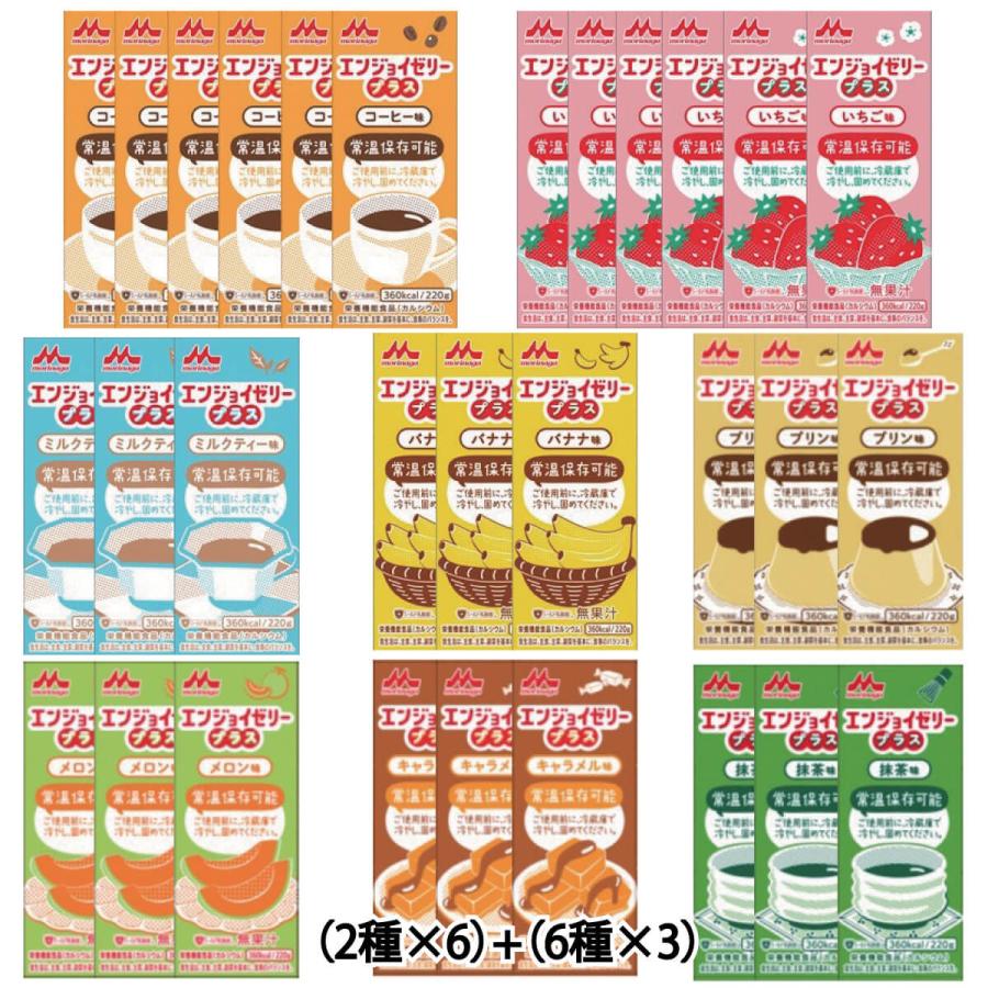 enjoi（エンジョイ） 介護食 エンジョイゼリープラス いろいろセット
