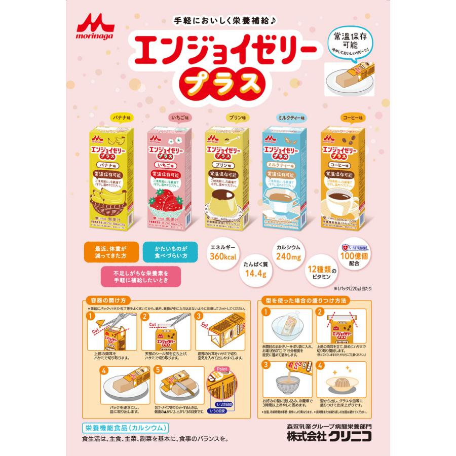 enjoi（エンジョイ） 介護食 エンジョイゼリープラス いろいろセット
