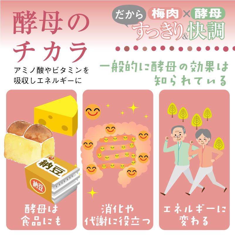 梅肉酵母エキス 115g 善玉菌腸内 フローラ腸内環境 梅肉エキス 天然