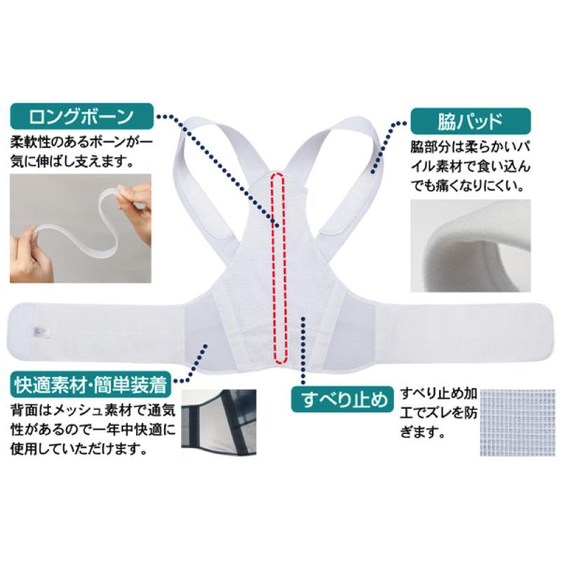 アルファックス お医者さんのがっちり背すじベルト M L LL 日本製