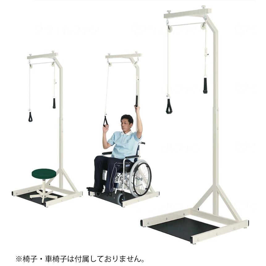 c-bodyシリーズ CB-5 アブドミナル / ローワーバック 高齢者向け 介護予防 リハビリ トレーニング マシン 高性能ウェイトマシン Amazon.co.jp: ダイコー 油圧マシン アブドミナルクランチ バック