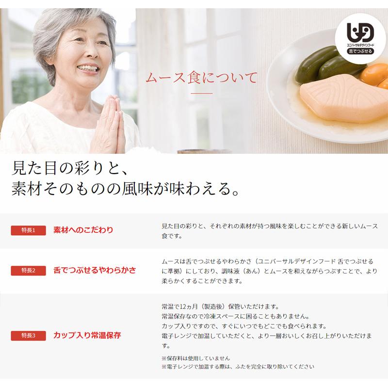 介護食 ムース食 エバースマイル 洋食 8種セット 大和製罐 介護食品 レトルト とろみ やわらか食 嚥下 治療食 咀嚼 嚥下困難食｜hashbaby｜04