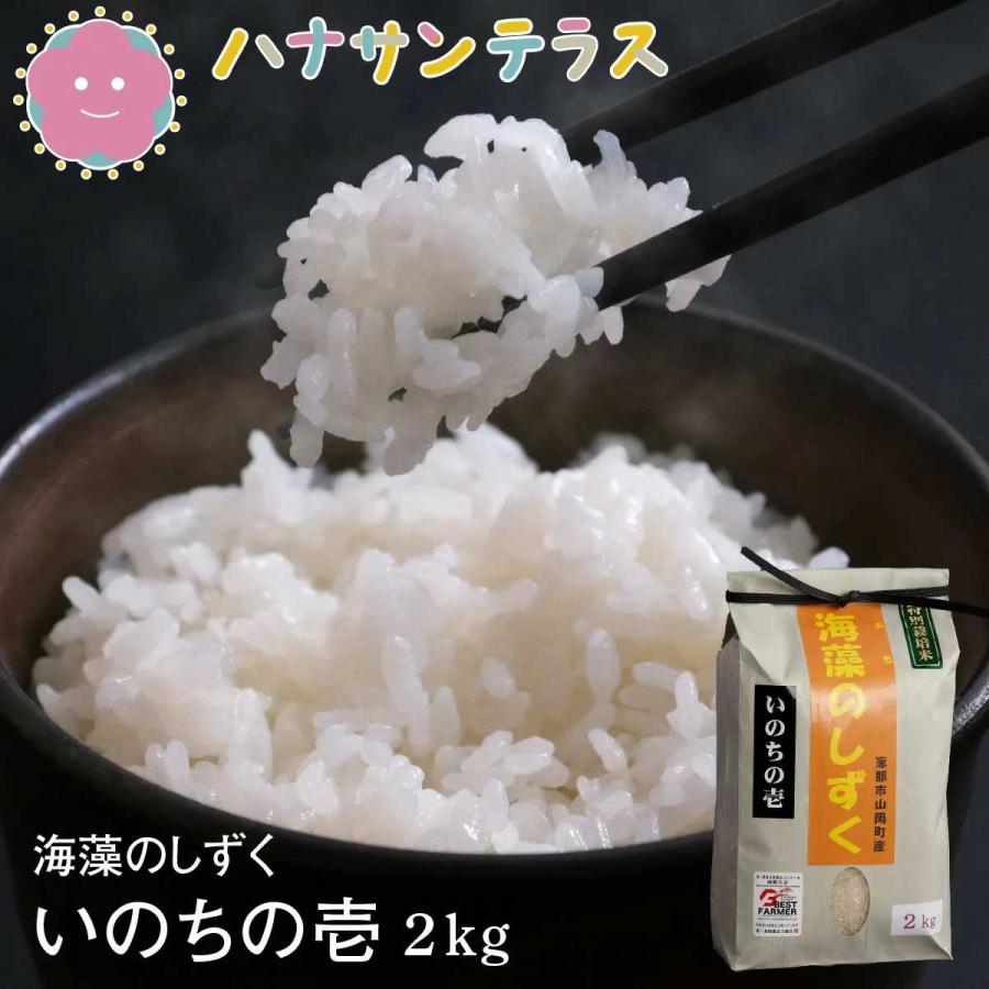 新米】令和6年産 米 2kg 2キロ いのちの壱 特別栽培米 白米 精米 新米】令和6年産 米 2kg 2キロ いのちの壱 特別栽培米 白米 精米