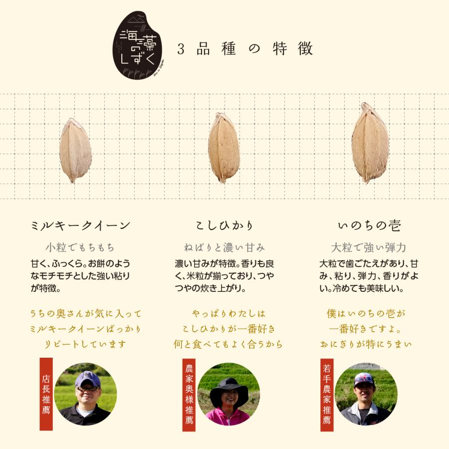 新米】令和6年産 米 2kg 2キロ いのちの壱 特別栽培米 白米 精米 新米】令和6年産 米 2kg 2キロ いのちの壱 特別栽培米 白米 精米
