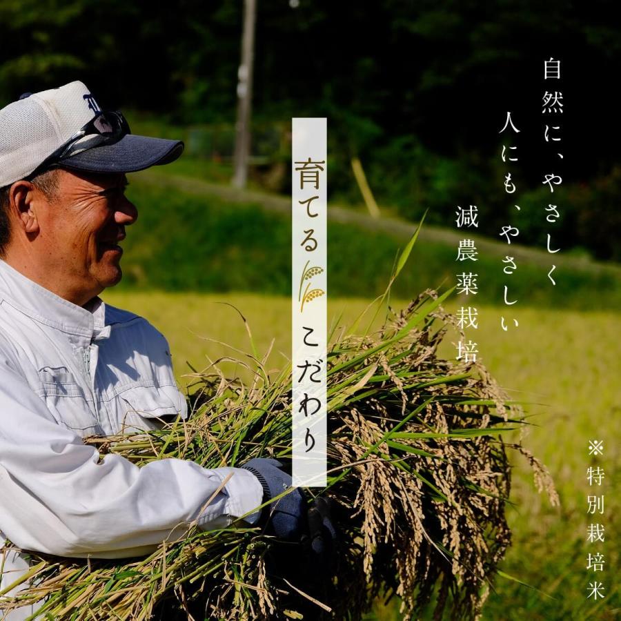 新米】令和6年産 米 2kg 2キロ いのちの壱 特別栽培米 白米 精米 新米】令和6年産 米 2kg 2キロ いのちの壱 特別栽培米 白米 精米