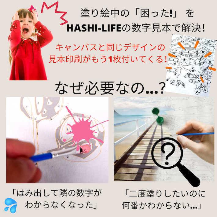 ペイントバイナンバー 大人の塗り絵 フレーム付き 選べる9種 数字油絵