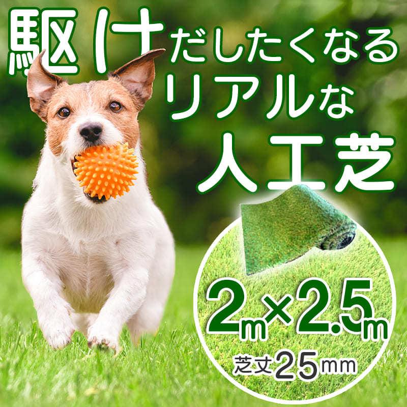 人工芝 ロール 2m×2.5m 芝丈25mm 高密度 防草 人工芝生 屋外用 軽量 芝生マット イージーライト25 庭 ベランダ DIY ガーデニング（Yahoo!・エクステリア通販プルーマガーデン）
