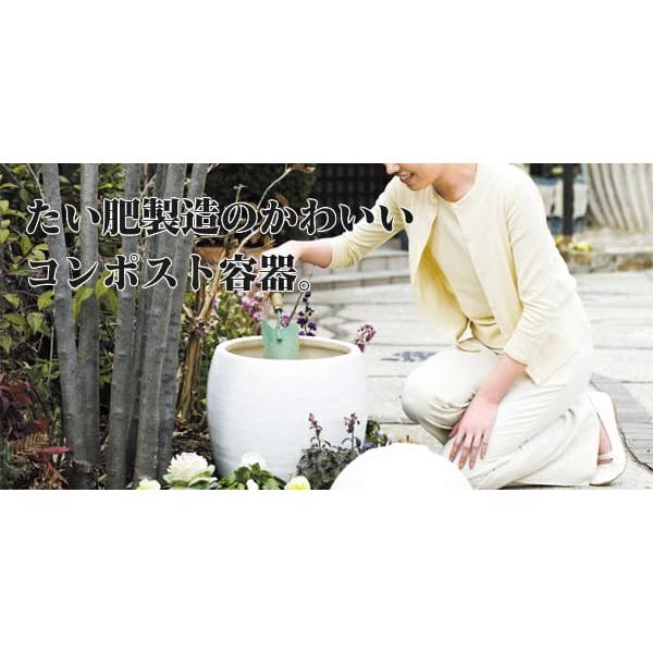 コンポスト おしゃれ 容器 屋外 陶器 どんぐりS 信楽焼 コ生ごみ堆肥