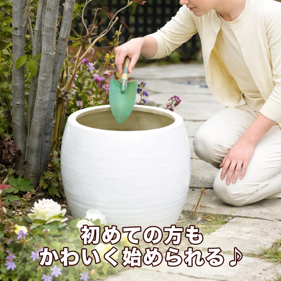 コンポスト 陶器 容器 おしゃれ 屋外 どんぐりS 信楽焼 コ生ごみ堆肥