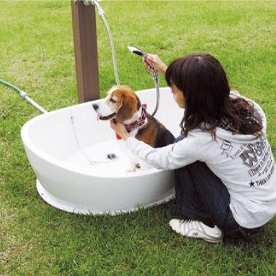 ガーデンパン 大型 水受け ペット バス 爆買 : エクステリア通販