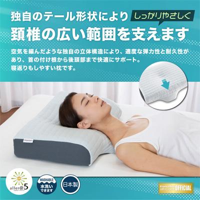 フランスベッド（FRANCEBED） 日本製 ボディテクト ピロー 43×56cm