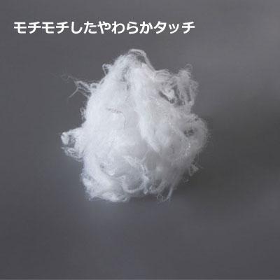 フランスベッド（FRANCEBED） 日本製 フランスベッドソロッテックス