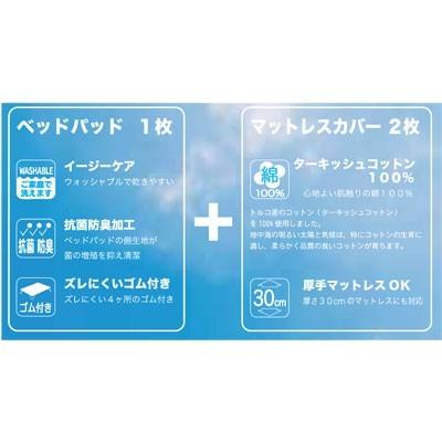 フランスベッド（FRANCEBED） ウォッシャブル スリープ3点セット