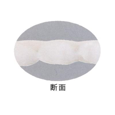 フランスベッド グッドスリーププラス バイオベッドパッド