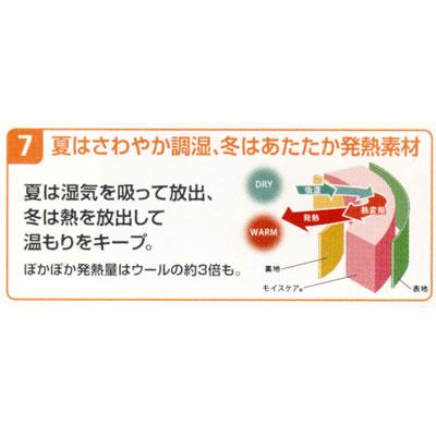 フランスベッド（FRANCEBED） ウォッシャブル モイスケアメッシュ