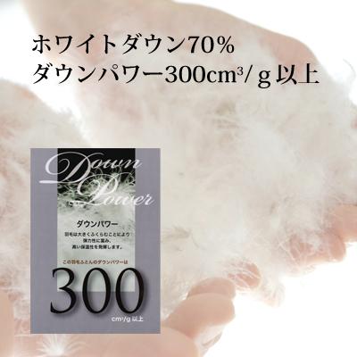 Re-Sleep 日本製 洗える 羽毛肌かけふとん 羽毛肌布団 ダウン70