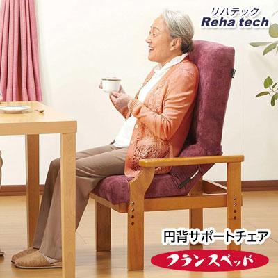 FRANCEBED 円背サポートチェア リハテック 家具 B040 リハテック 円背サポートチェア フランスベッド 高座椅子 高い座