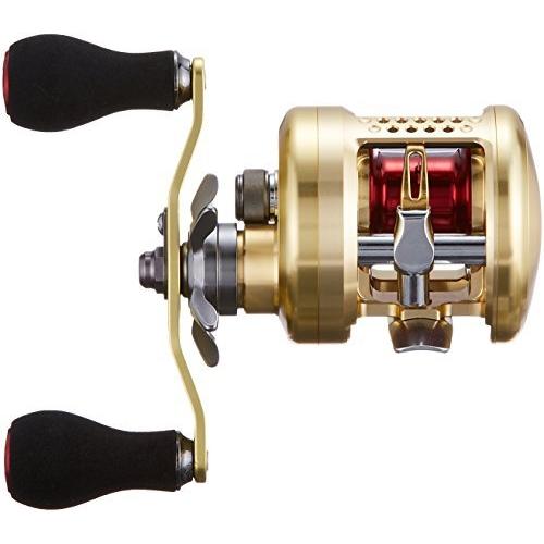 【新登場】 ダイワ(DAIWA) 両軸リール 14 ミリオネア 100 (2014モデル) 【R9962019084】(35200円)