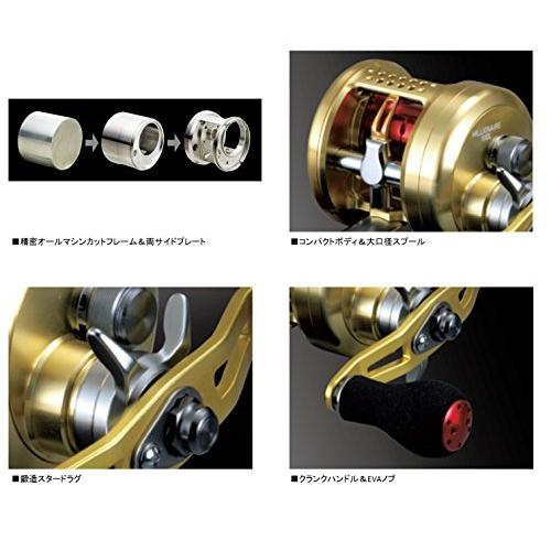 【新登場】 ダイワ(DAIWA) 両軸リール 14 ミリオネア 100 (2014モデル) 【R9962019084】(35200円)