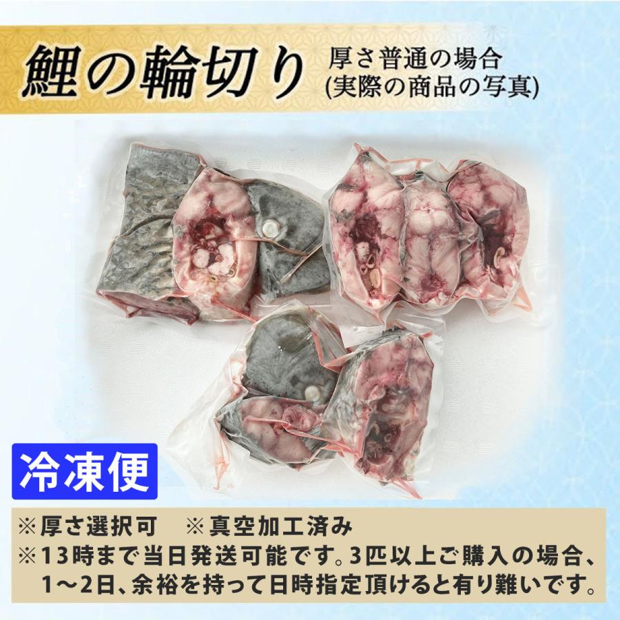 鯉の輪切り 中サイズ 1匹 活鯉時1.2〜1.4kg 厚さ選択可 食用鯉 切り身 