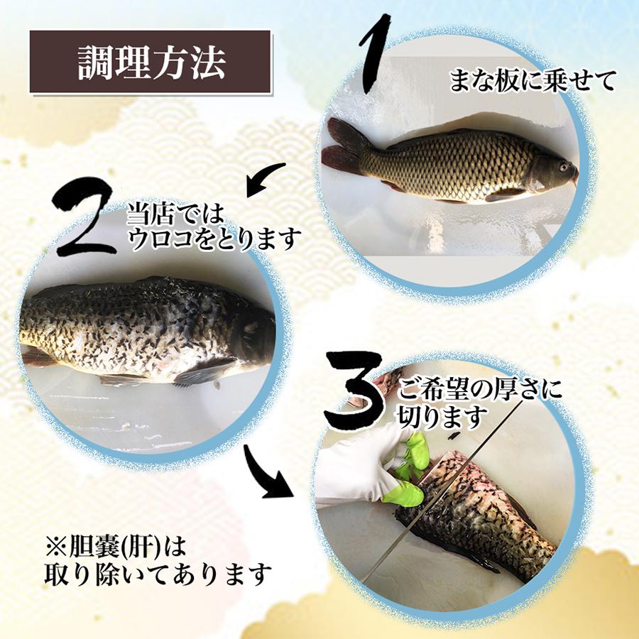 鯉の輪切り 小サイズ 一匹 6 7切れ 活鯉時 1kg前後 食用鯉 切り身 コイ 販売 鯉こく用 煮付け用 060 ハスミフーズ 通販 Yahoo ショッピング