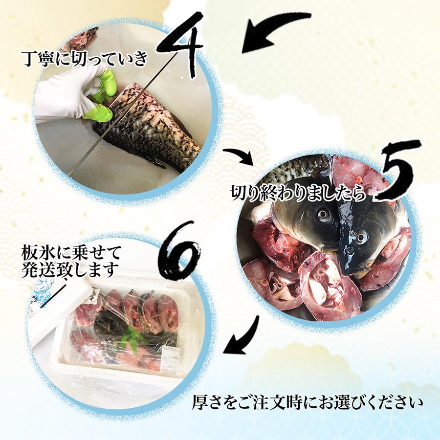 鯉の輪切り 特大サイズ 一匹 厚さ選択可 活鯉時1 6kg以上 食用鯉 切り身 コイ こい 販売 鯉こく用 煮物用 うま煮用 080 ハスミフーズ 通販 Yahoo ショッピング