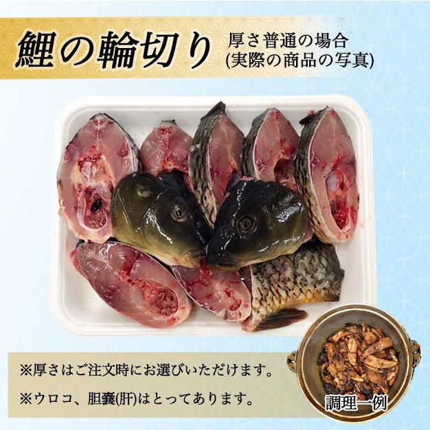 鯉の輪切り 特大サイズ 一匹 厚さ選択可 活鯉時1 6kg以上 食用鯉 切り身 コイ こい 販売 鯉こく用 煮物用 うま煮用 080 ハスミフーズ 通販 Yahoo ショッピング
