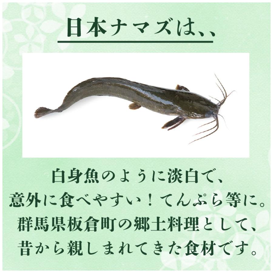 日本なまず 活魚時1kg 鯰 なまず ナマズ 川魚 飲食店 : ハスミフーズ