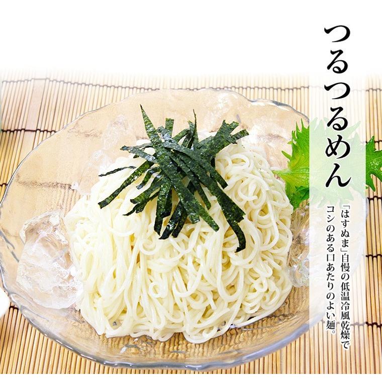 つるつるめん 180g(2人前)×20袋 乾麺 コシのある美味しさ ギフト : 麺