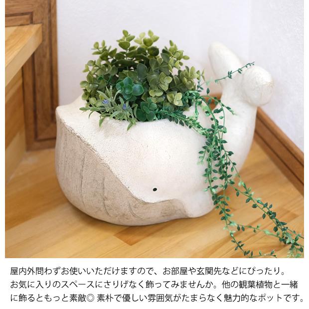 CN29 アニマルポットクジラ 25 L くじら 鉢 植木鉢 鉢カバー