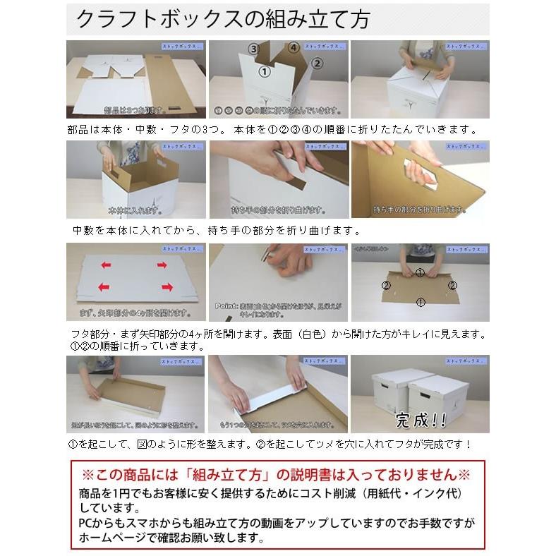 収納ボックス クラフトボックスL 単品 収納BOX 収納用品【AS】 : hat