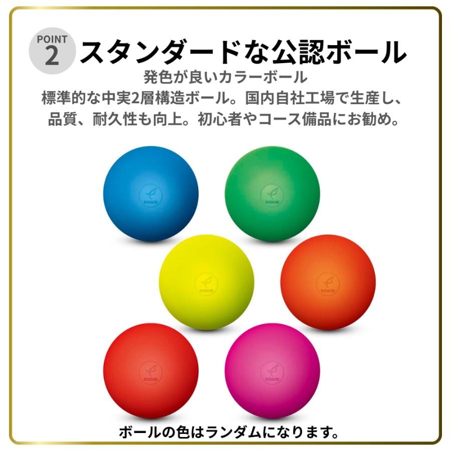HATACHI（ハタチ） 【公式】グランドゴルフ お楽しみ3点セット ハード