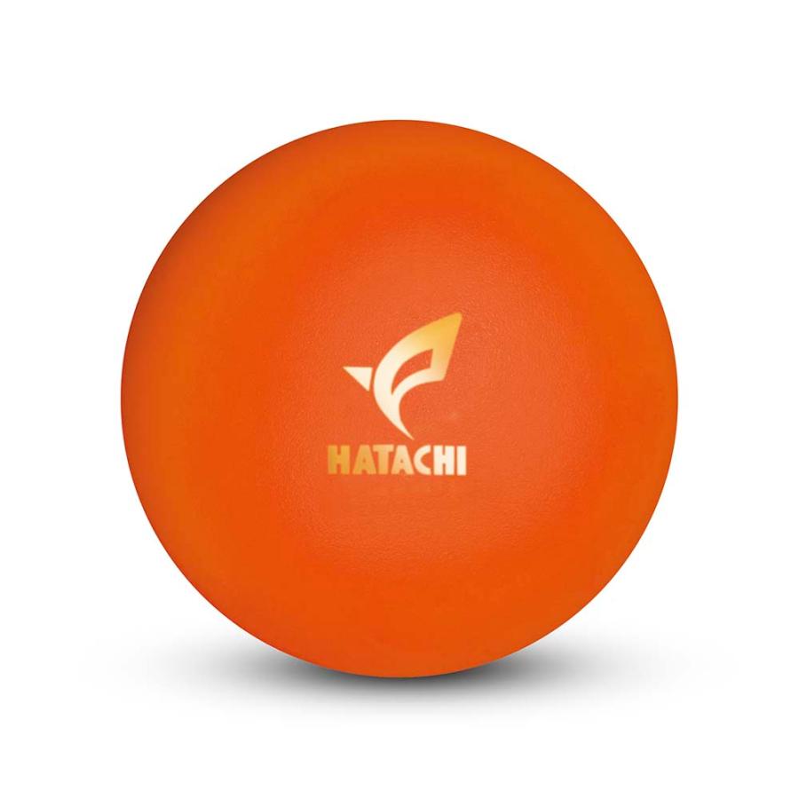 HATACHI（ハタチ） グランドゴルフ グラウンドゴルフ グランドゴルフ
