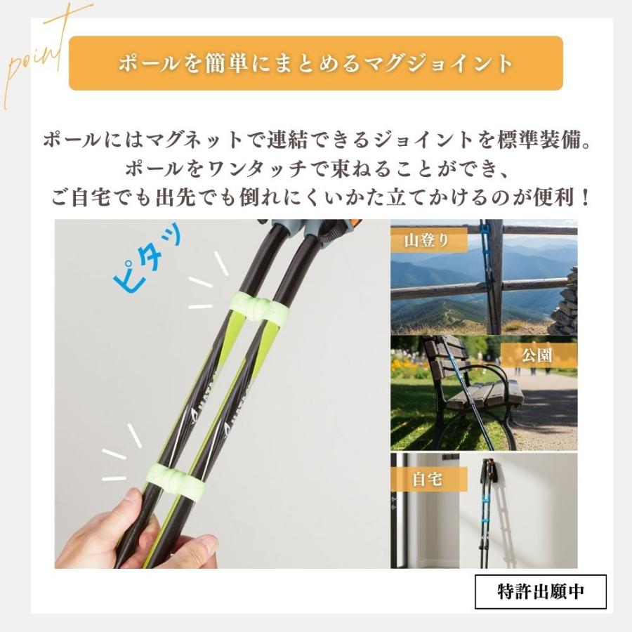 HATACHI（ハタチ） HATACHI DFPプログレッシブズーム2 ノルディック