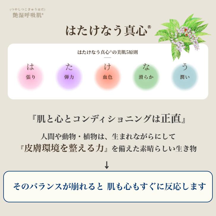 リキッドタイプ 美容液ファンデーション30g オイルフリー