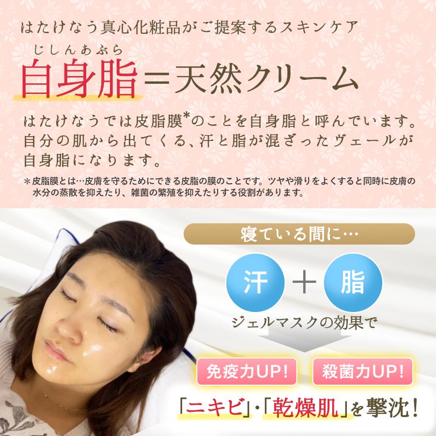 定期入れの 基本4点セット スキンケアセット はたけなう真心基礎セット エイジングケア 基礎化粧品 肌ケア 敏感肌 角質ケア 顔ダニ はたけなう Wantannas Go Id