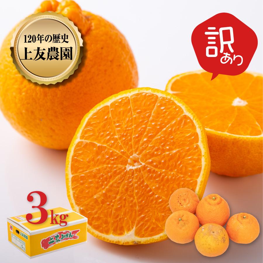訳あり不知火 3kg M 3l 10 15玉 和歌山 有田 デコポン 3級 産地直送 北海道沖縄除く地域へは送料無料 皮に傷 黒点が入ったものがあります Um D3003 畑乃家 通販 Yahoo ショッピング