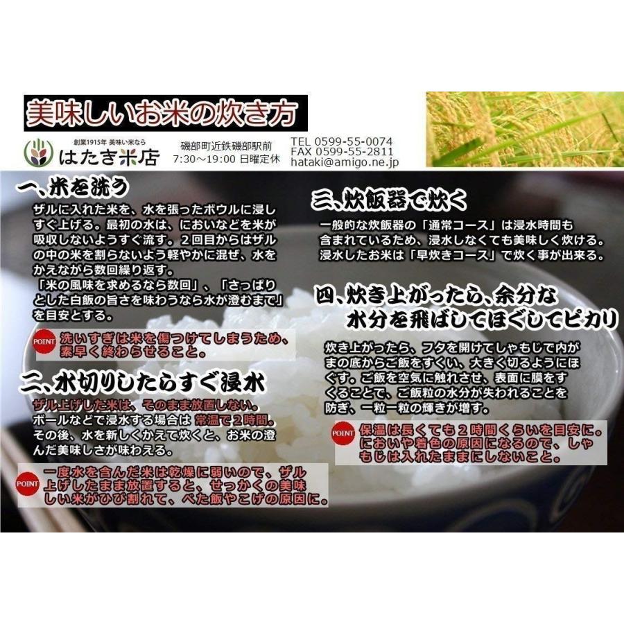 発送直前精米 令和7年産新米 伊勢志摩産こしひかり10kg白米 産地直送