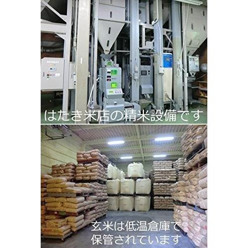 発送直前精米 令和7年産 伊勢志摩産こしひかり27kg 産地直送 つきたて