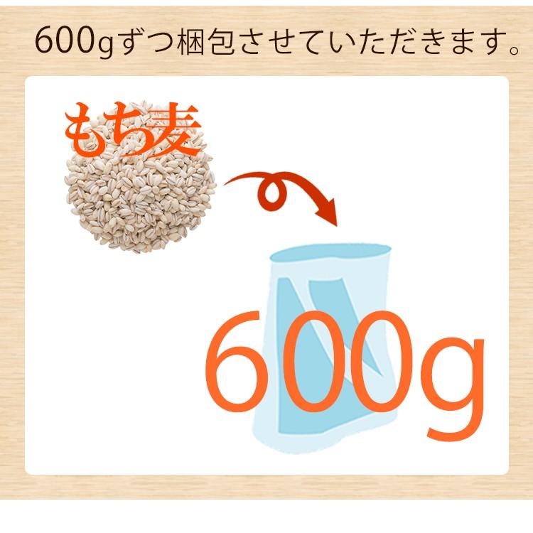 もち麦 たっぷり ダイエット 美容  もち麦 600g｜hatasyou-ten｜05