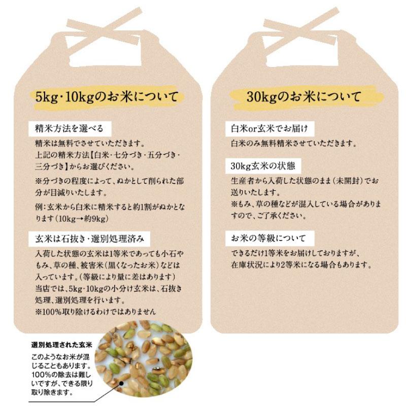 令和4年新米 近江のお米 滋賀県産10割 20kg玄米 10Kg×2本 お好きな分 