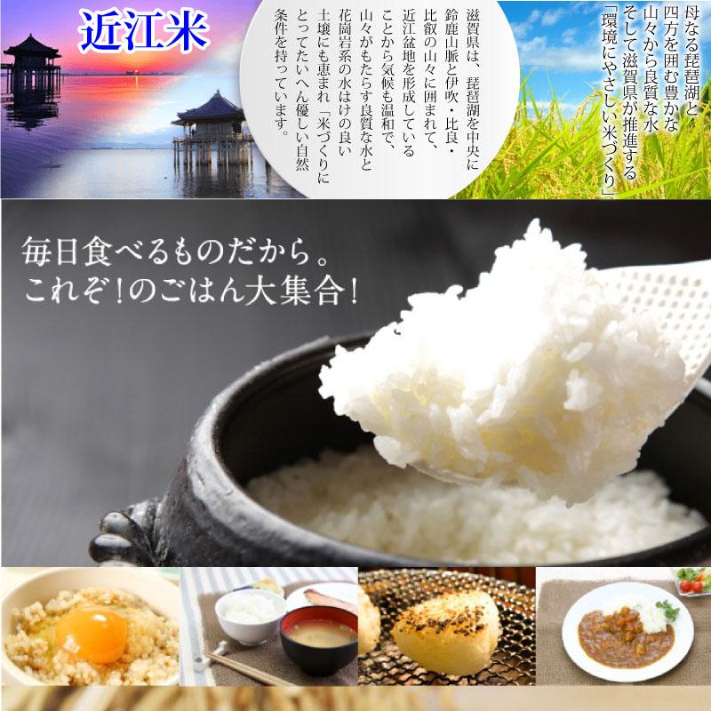 玄米　20kg  コシヒカリ　新米　埼玉県産　令和4年産　送料無料　米　20キロ