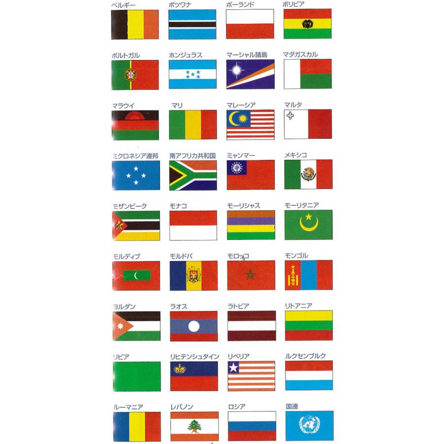 旗 オーダー 外国旗 中央アフリカ 70×105cm テトロンポンジ製 Central Africa フラッグ 旗 160国対応｜hatawa-koko｜05