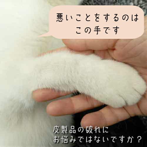 合皮の補修シート シールタイプ 巾11cm×20cm 強力接着 CP187 キャプテン 革 皮 レザー 穴 破れ P|hatawa-koko|02