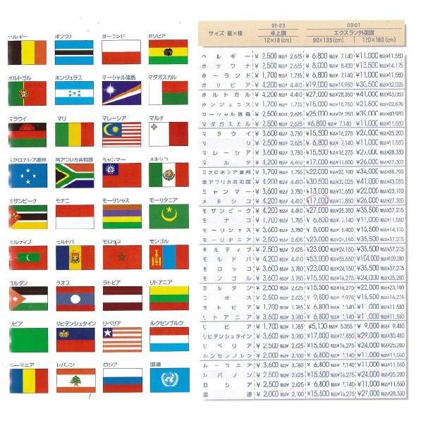 エクスラン外国旗 120×180ミクロネシア連邦(大)アクリル100%旗 フラッグ FLAG - 3