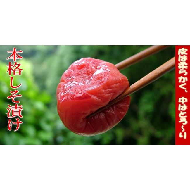しそ梅干し 赤紫蘇 梅干し 特選2lサイズ はてなしシリーズ 本格しそ漬け 塩分9 1kg 1000g Siso1kg 梅干専門店 古道の梅屋 通販 Yahoo ショッピング